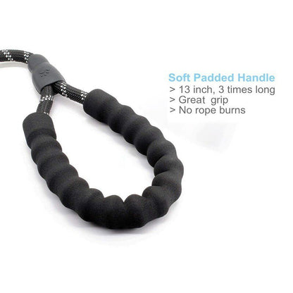 Blue Reflective Padded Leash - Dogs and Horses