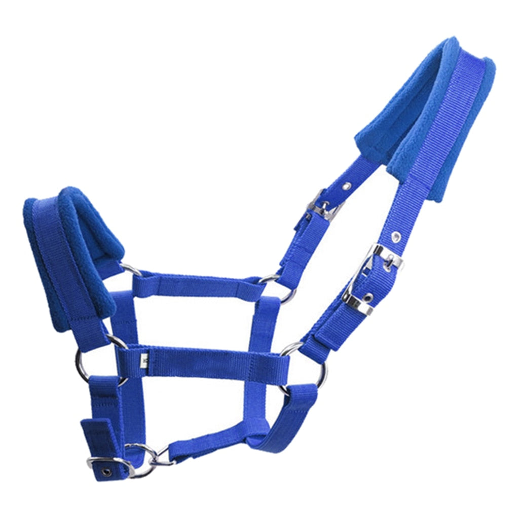 Blue Padded Halter / Headcollar - Dogs and Horses