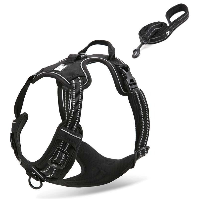 Collodi Black Harness & Leash Set - Dogs and Horses