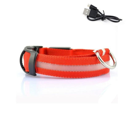 LED Light Up Collar (USB) - Dogs and Horses