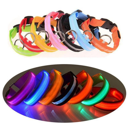 LED Light Up Collar (Battery) - Dogs and Horses