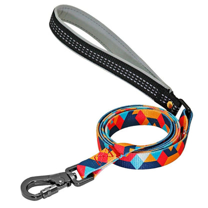 Picasso Orange Personalized Collar & Leash Set - Dogs and Horses
