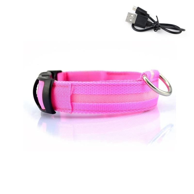 LED Light Up Collar (USB) - Dogs and Horses