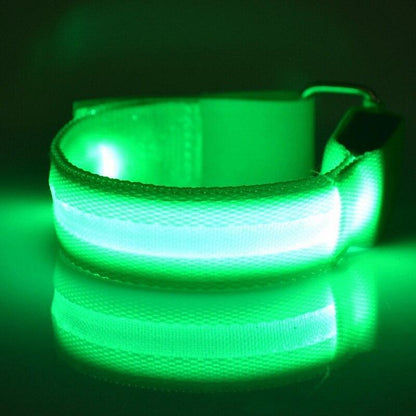 Horse Leg Straps LED Lights - Dogs and Horses