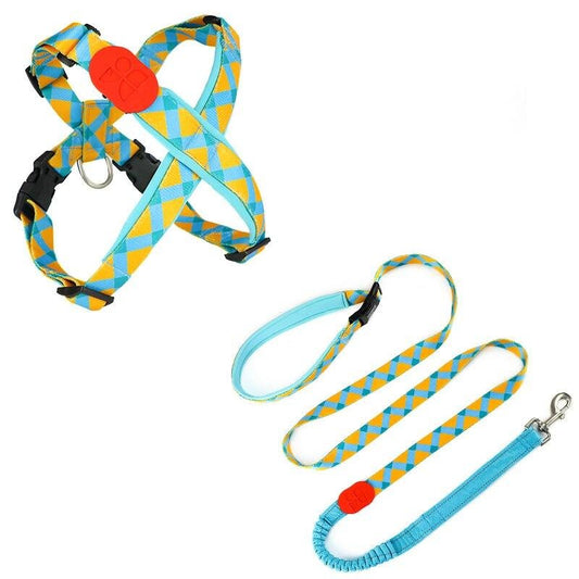 Capri Sunrise Harness & Leash Set - Dogs and Horses