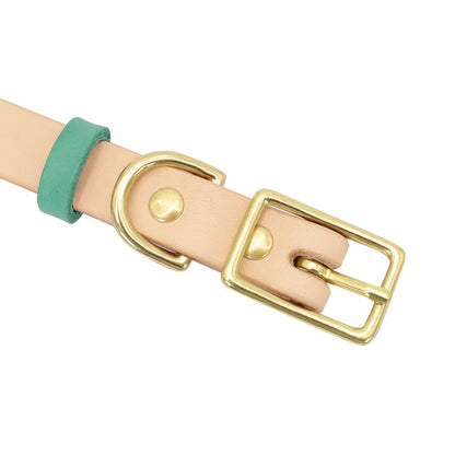 Siena Green Collar & Custom Engraved Tag - Dogs and Horses