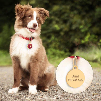 Gold Paw Personalized ID Tags - Dogs and Horses