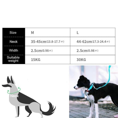 Capri Sunrise Collar & Leash Set - Dogs and Horses