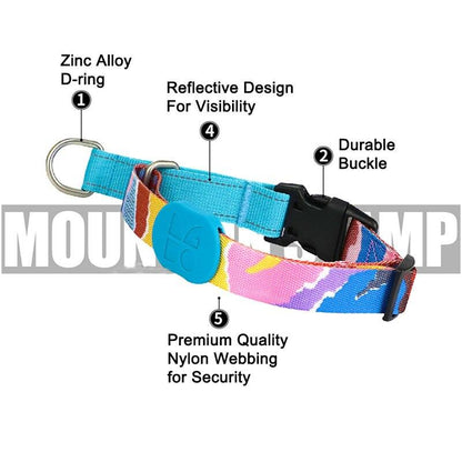 Capri Sunrise Collar & Leash Set - Dogs and Horses