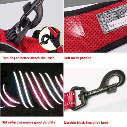 Collodi Fuchsia Harness & Leash Set - Dogs and Horses