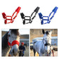 Red Padded Halter / Headcollar - Dogs and Horses