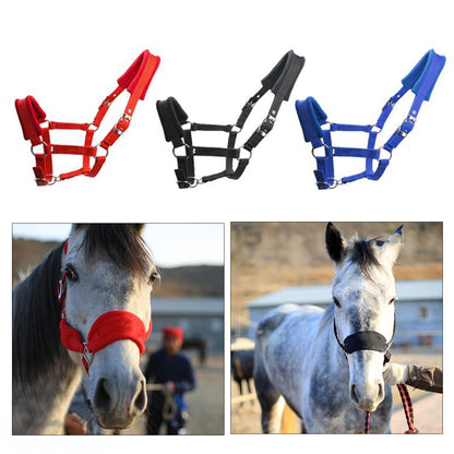 Red Padded Halter / Headcollar - Dogs and Horses