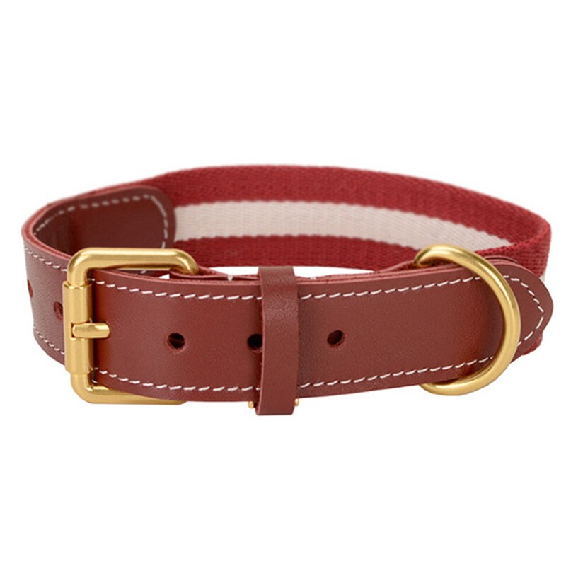 Oxford Burgundy Collar - Dogs and Horses