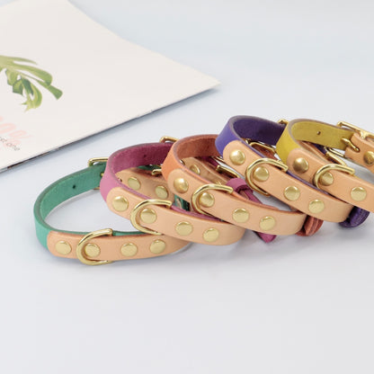 Siena Purple Collar & Custom Engraved Tag - Dogs and Horses