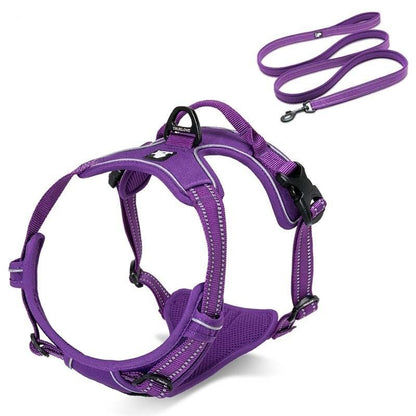 Collodi Purple Harness & Leash Set - Dogs and Horses