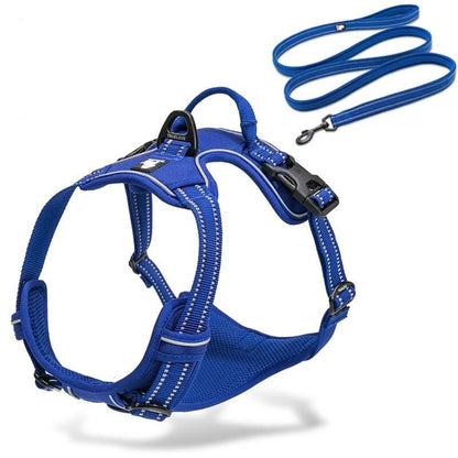 Collodi Royal Blue Harness & Leash Set - Dogs and Horses