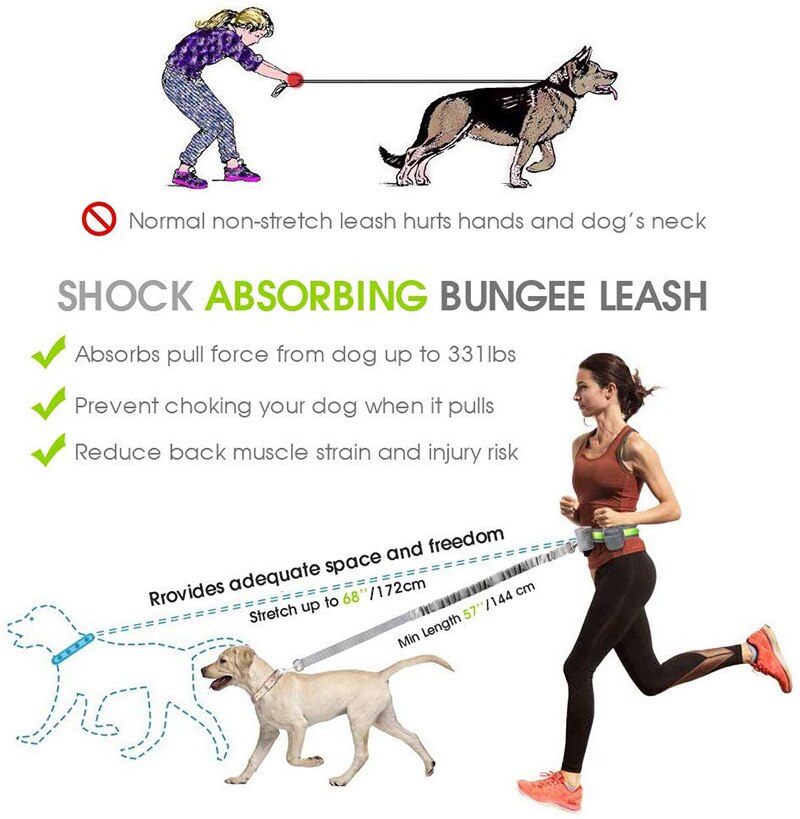 Black Hands-Free Leash & Running Belt - Dogs and Horses