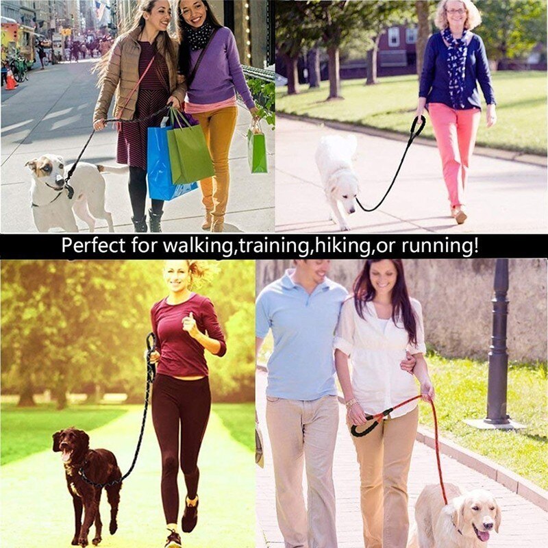 Black Reflective Padded Leash - Dogs and Horses