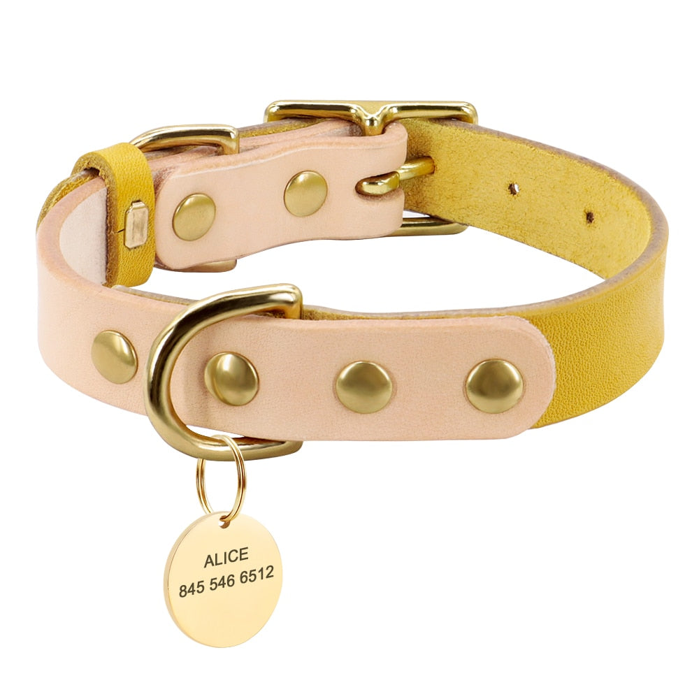 Siena Yellow Collar & Custom Engraved Tag - Dogs and Horses