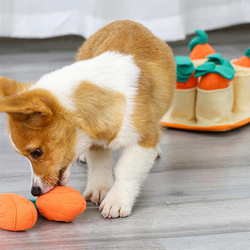 Carrots Snuffle & Feeding Mat - Dogs and Horses