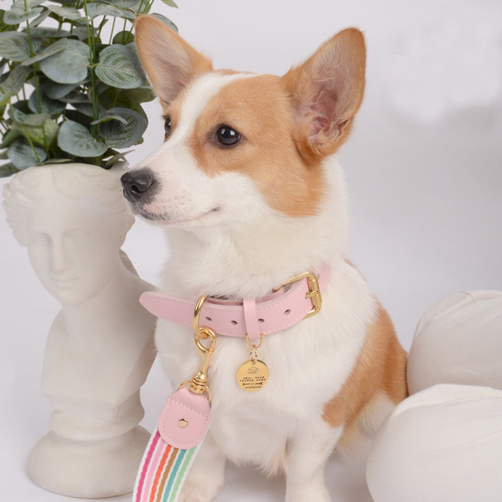 Oxford Pink Collar - Dogs and Horses
