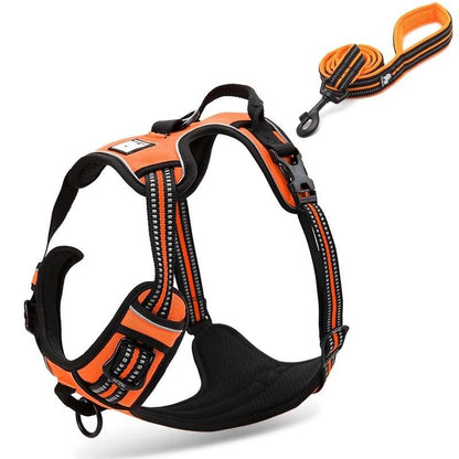 Collodi Orange Harness & Leash Set - Dogs and Horses