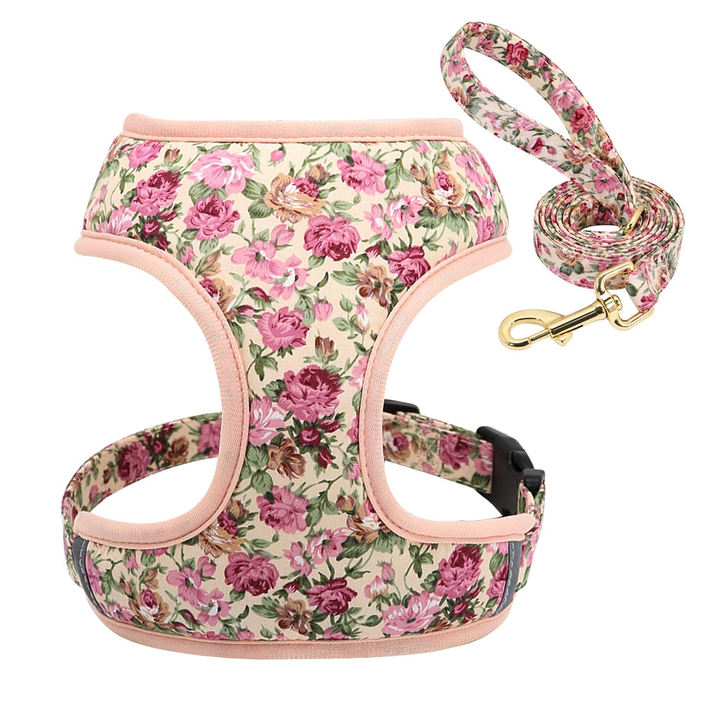 Floresta Beige Harness & Leash Set - Dogs and Horses
