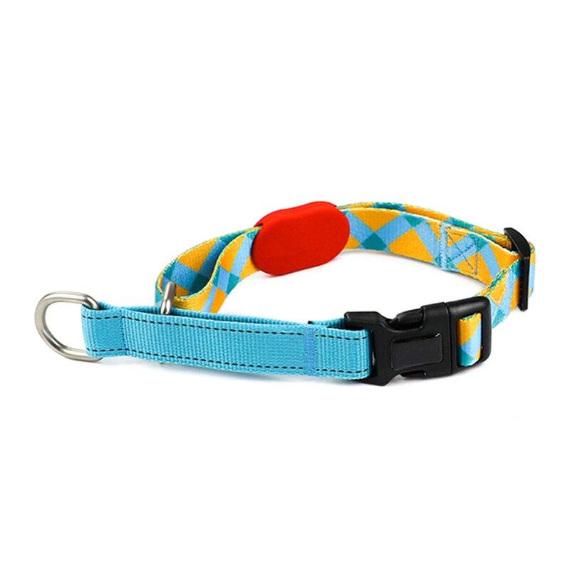 Capri Sunrise Collar & Leash Set - Dogs and Horses