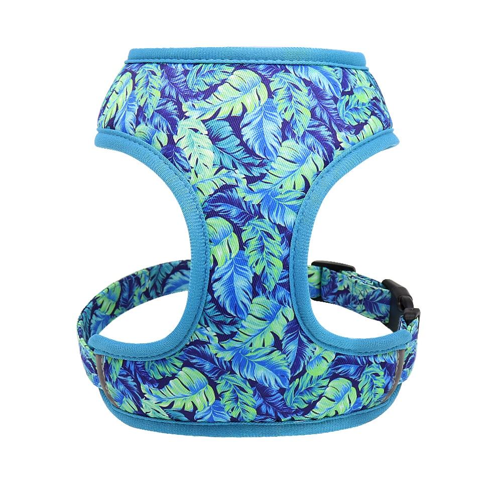 Floresta Blue Harness & Leash Set - Dogs and Horses