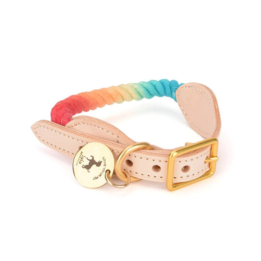 Venice Rainbow Collar - Dogs and Horses