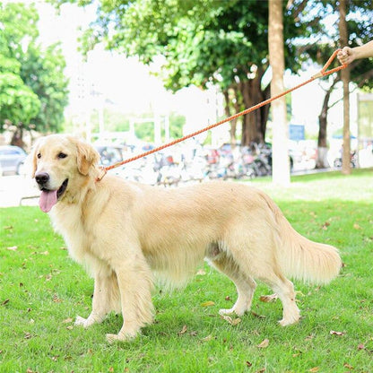 Pink Rope Slip Leash & Collar - Dogs and Horses