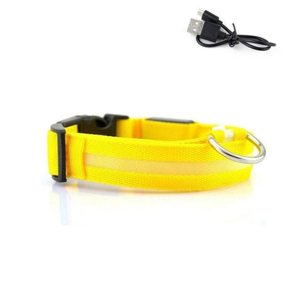 LED Light Up Collar (USB) - Dogs and Horses