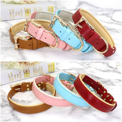 Napoli Blue Leather Collar & Custom Engraved Tag - Dogs and Horses