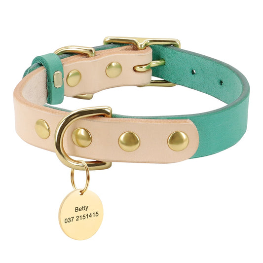 Siena Green Collar & Custom Engraved Tag - Dogs and Horses