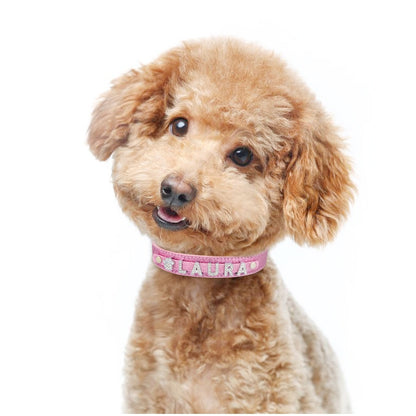 Rose Glittering Personalized Collar - Dogs and Horses