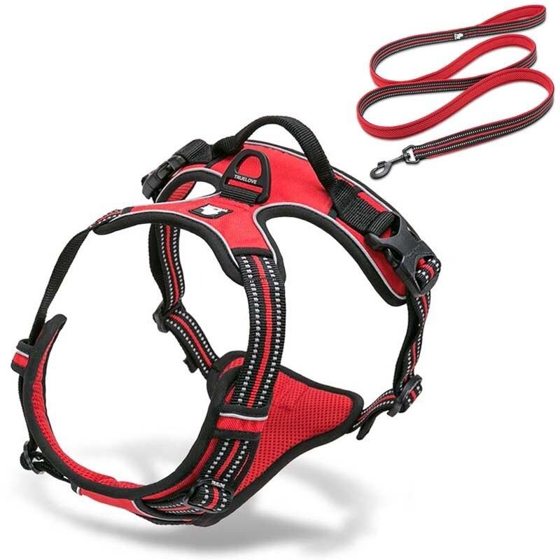 Collodi Red Harness & Leash Set - Dogs and Horses