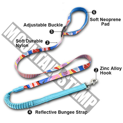 Capri Sunrise Collar & Leash Set - Dogs and Horses