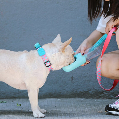Capri Pop Collar - Dogs and Horses