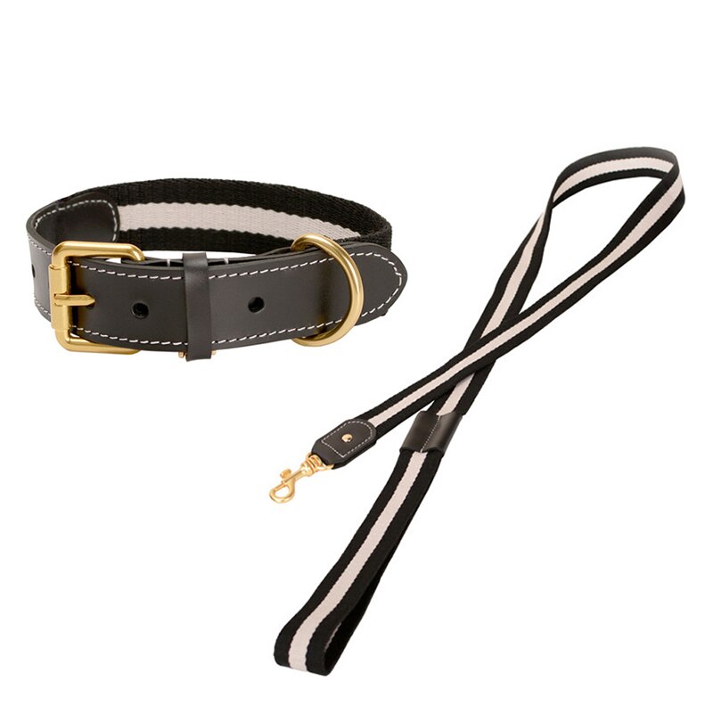 Oxford Black Collar & Leash Set - Dogs and Horses
