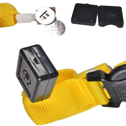 LED Light Up Collar (Battery) - Dogs and Horses