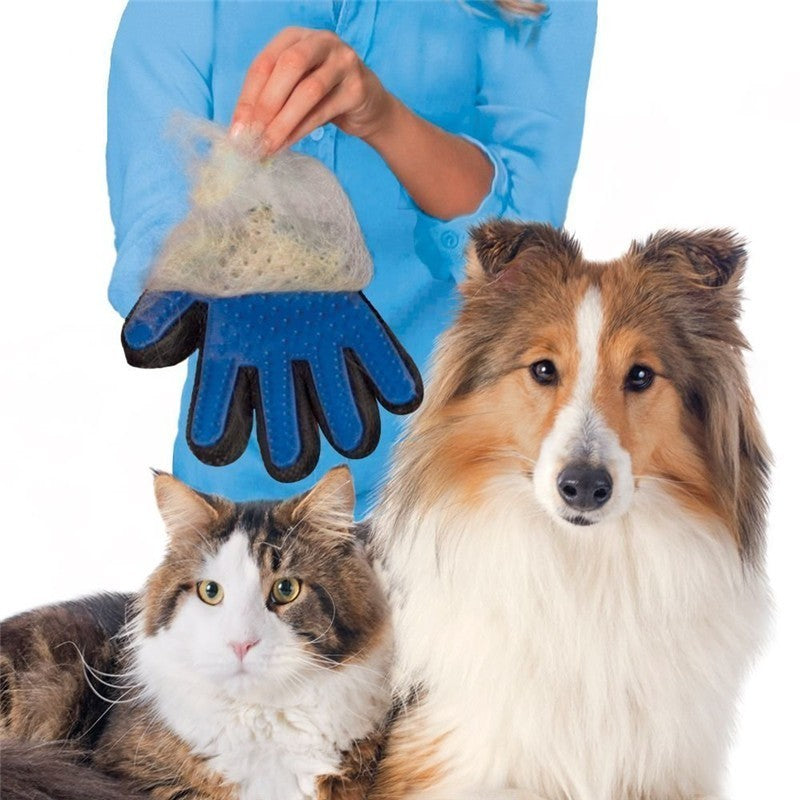 Blue Grooming Gloves - Dogs and Horses