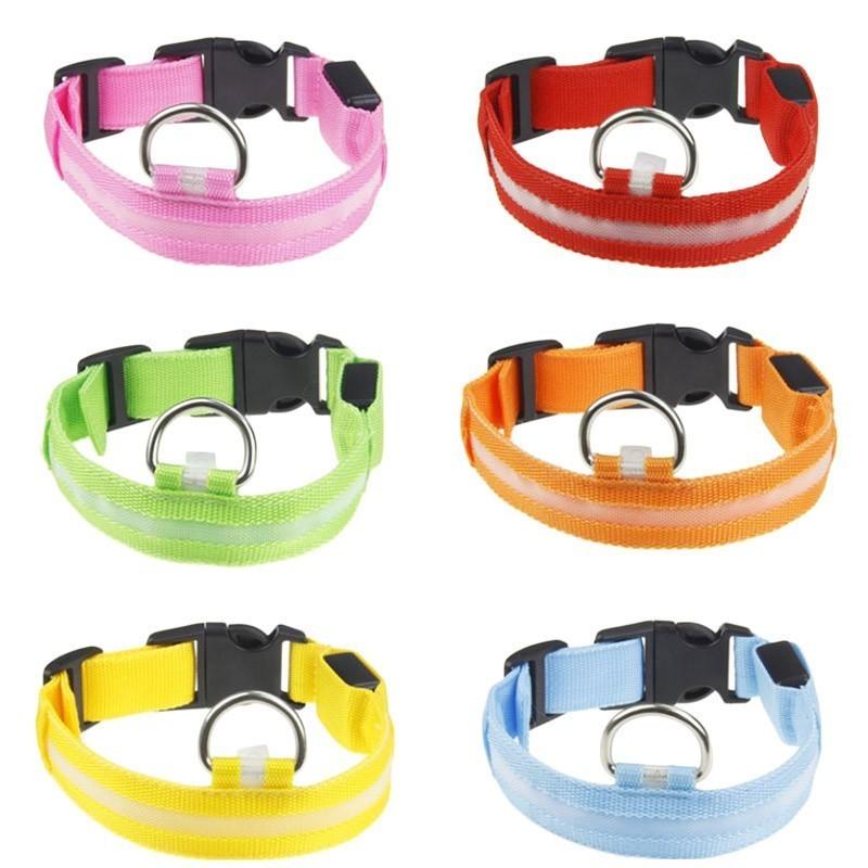 LED Light Up Collar (Battery) - Dogs and Horses