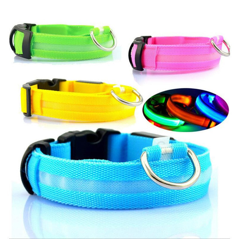 LED Light Up Collar (USB) - Dogs and Horses