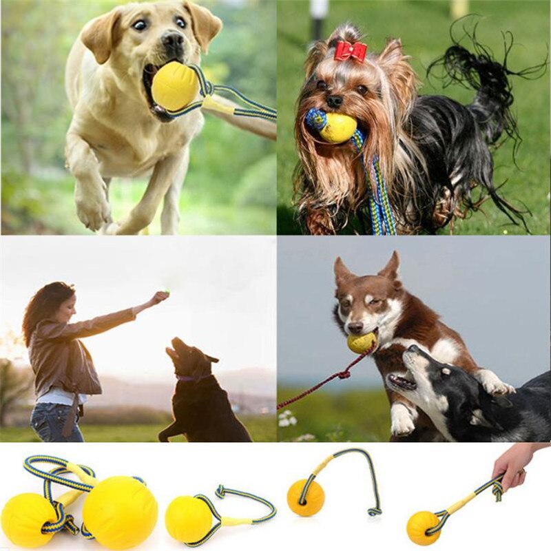 Chew Ball & Rope - Dogs and Horses