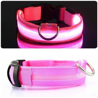 LED Light Up Collar (USB) - Dogs and Horses