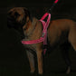 Pink No Pull Reflective Harness & Leash Set - Dogs and Horses