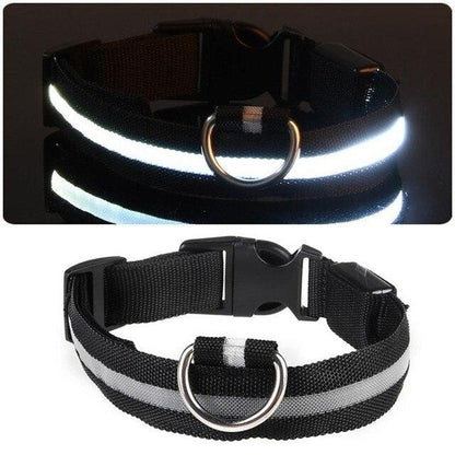 LED Light Up Collar (USB) - Dogs and Horses