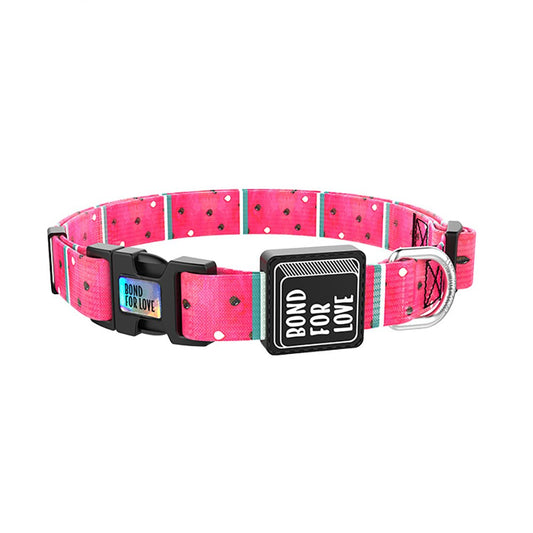 Bari Watermelon Collar - Dogs and Horses