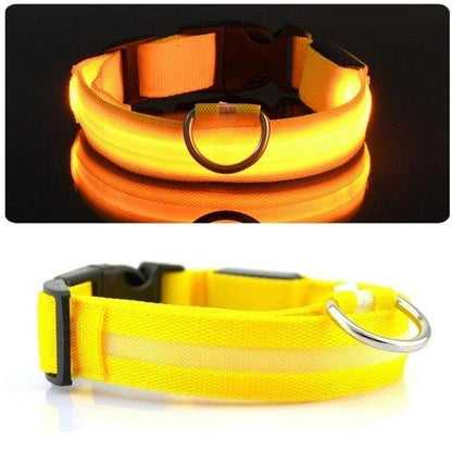 LED Light Up Collar (Battery) - Dogs and Horses