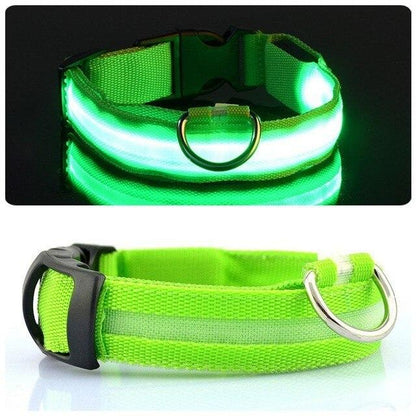 LED Light Up Collar (USB) - Dogs and Horses